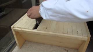 Honeybee Swarm check-in after 4 days