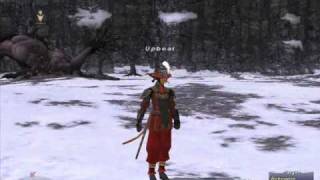 FFXI Unclaimed HNM pics