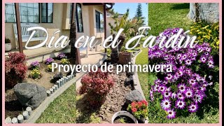 NUEVO PROYECTO de primavera/ plantando y reviviendo mi jardin.