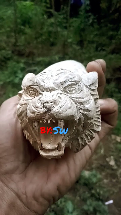 #handle #cemeti #pecut #harimau