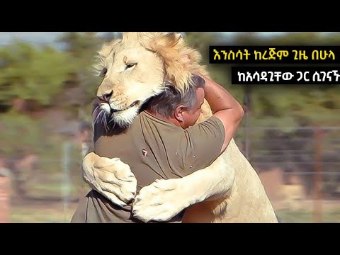 ቪዲዮ: የጠፉ እንስሳት - ለሰው ልጅ ደደብ ነቀፋ