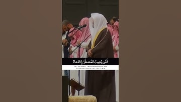 أمن يجيب المضطر إذا دعاه 😭🤍 | تلاوة خاشعة ومبكية للشيخ ياسر الدوسري 😭 حالات واتس دينية