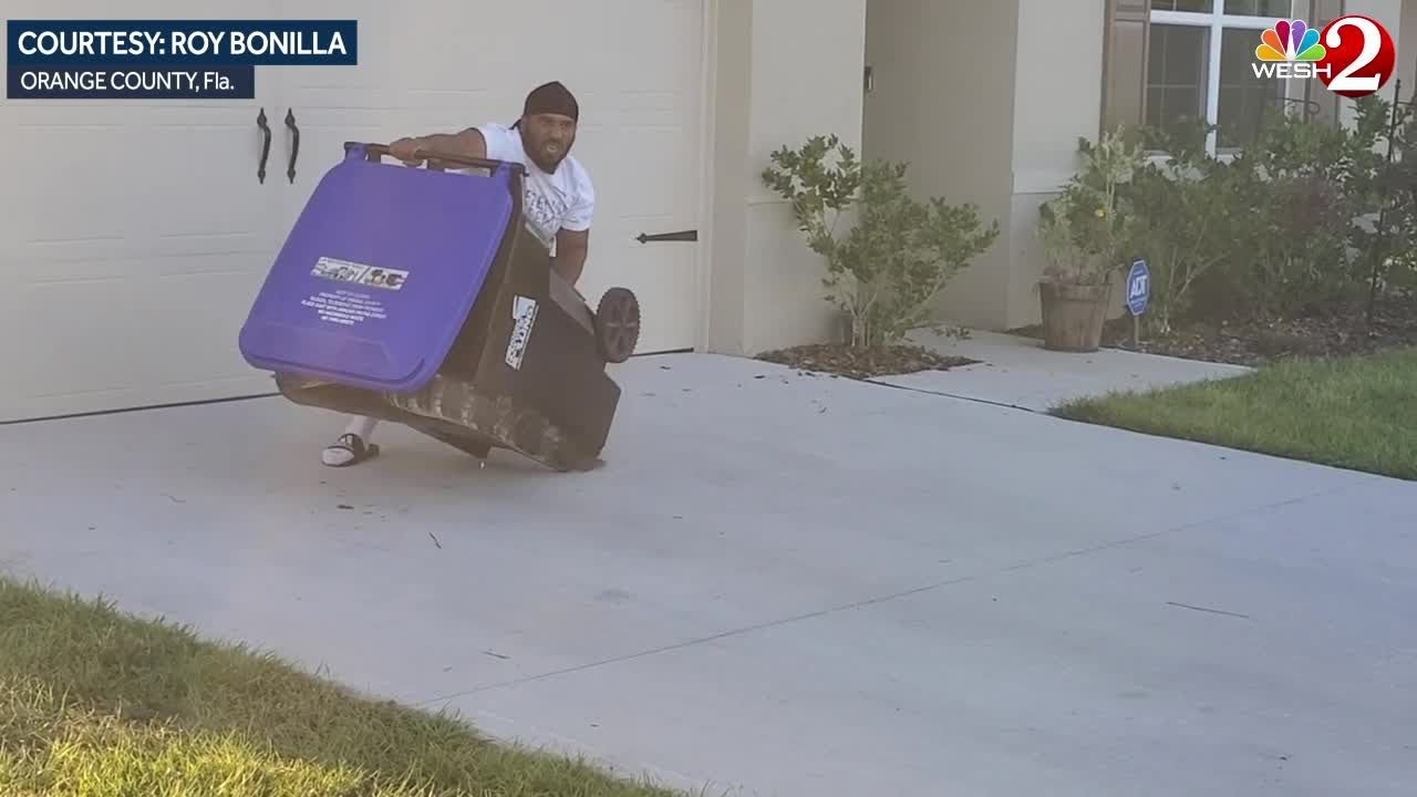 Download Gator garbage can capture: Florida man uses trash can to capture alligator