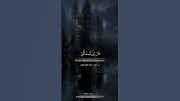 پذیرش توبه از سوی الله تنها برای کسانی است..🤍سورة النساء، آیه ۱۷ - ۱۸ 🤍شیخ رعد محمد الکردی 🎙 #ترند