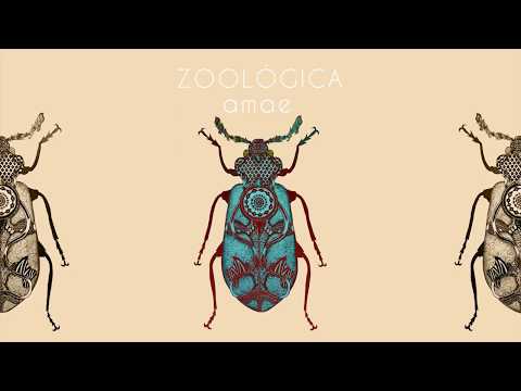 Zoológica - AMAE (2018)(Album Completo)