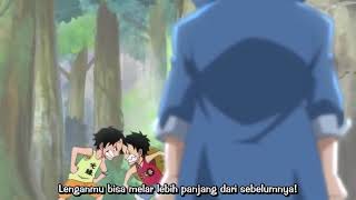 Momen Ace Dan Luffy Malu Karna Berbicara Dengan Batu Yang Dianggap Sabo