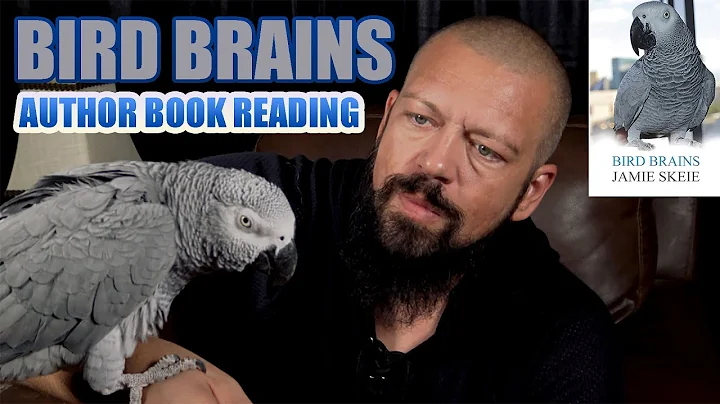 Bird Brains - Author Book Reading Featuring Jamie Skeie #authorbookreadi...