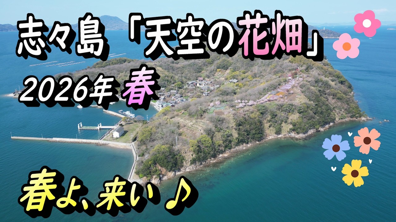 Shishijima Island: Flower Fields in the Sky] 🌸 Come, spring