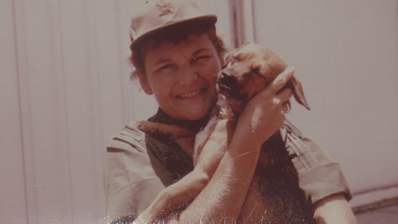 Aurora veteran nurse honored for serving 24 years in U.S. army YouTube