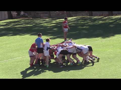 ლელო 33:12 აიეტი | \"ბ\" ლიგა 2018-2019