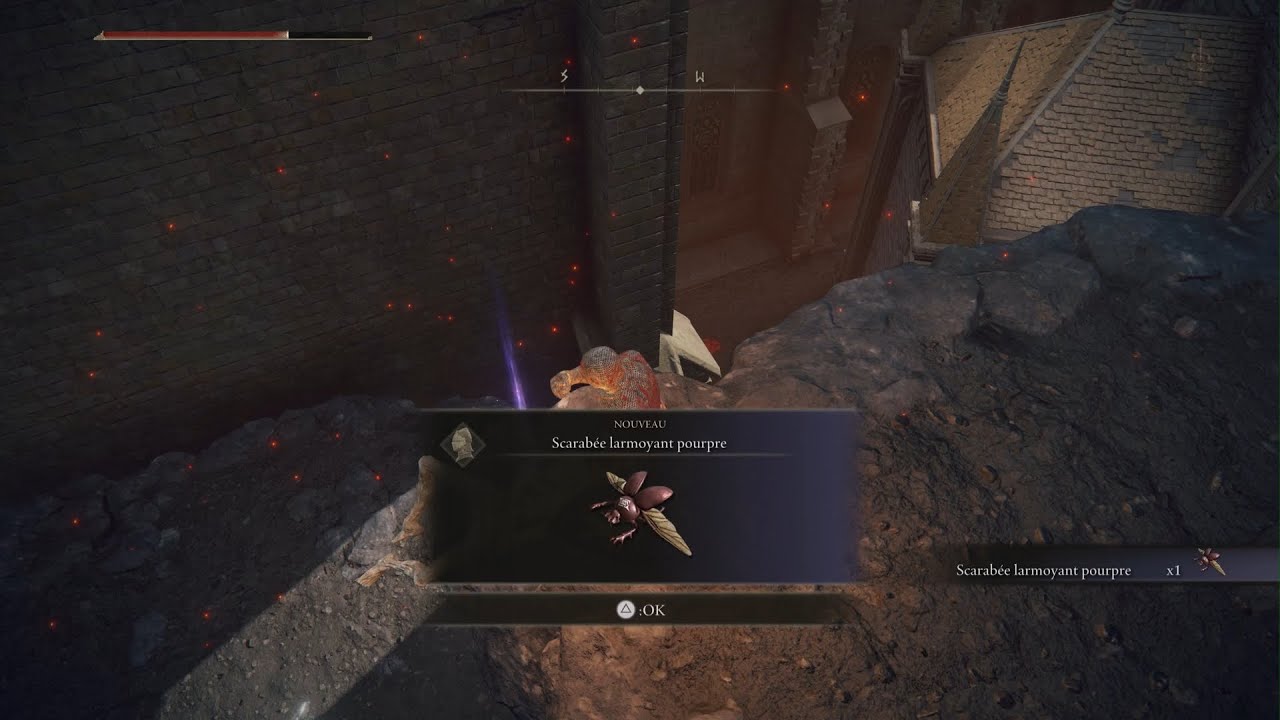 Elden Ring Pierre de Sombre (5) (6), CléLame de Pierre, Bandeau de Sujet, Scarabée