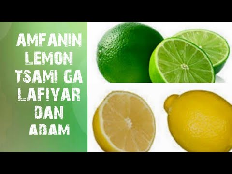 amfanin lemon tsami ajikin dan adam  by yusif nuraddeen