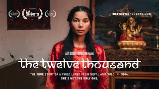 Watch The Twelve Thousand Trailer