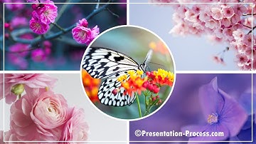 Easy Animated Photo Collage Template in PowerPoint