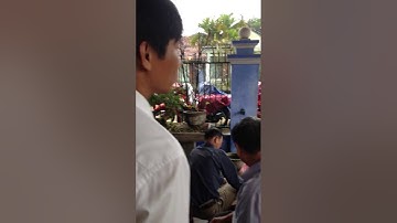 TẤT NIÊN HỘI ĐỒNG HƯƠNG QUẢNG TRỊ 2017-4