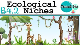 (B4.2) - Ecological Niches - IB Biology (SL/HL)