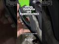 #sandal #fashion #shorts #shortvideo #viral