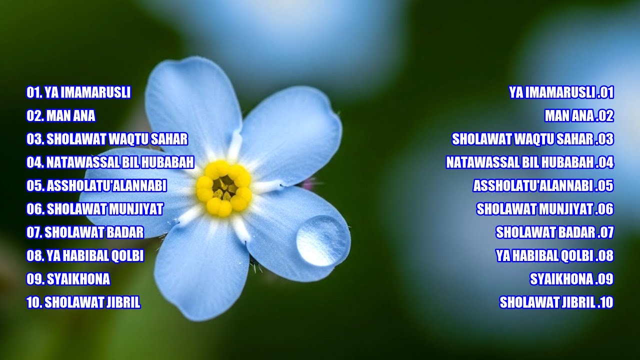 SHOLAWAT PILIHAN PALING DICARI TAHUN INI, COCOK TEMENIN AKTIVITAS SEHARIAN