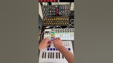 Arturia Beatstep Pro x Behringer WASP (Jam Session)