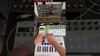 Arturia Beatstep Pro x Behringer WASP (Jam Session)
