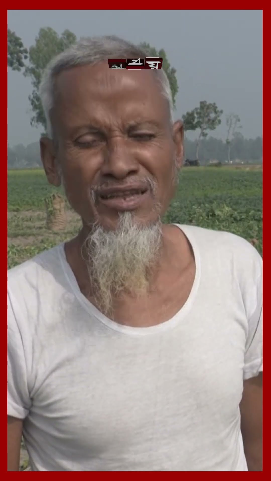 জয়পুরহাটে নতুন আলু তোলার ধুম #potatoharvesting #joypurhat #farmers #shorts #somoytv