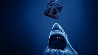 Película completa 🍿📽️ | Terror profundo cage dive 🦈