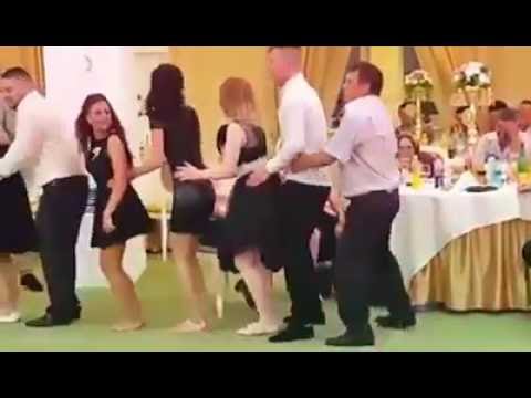 komik penguen dansı - funny penguin dance