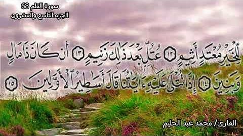 سورة القلم |68ضمن المصحف المرتل بصوت| محمد عبد الحليم