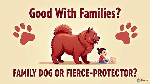 🐶9 What You NEED to Know Before Getting a Chow Chow