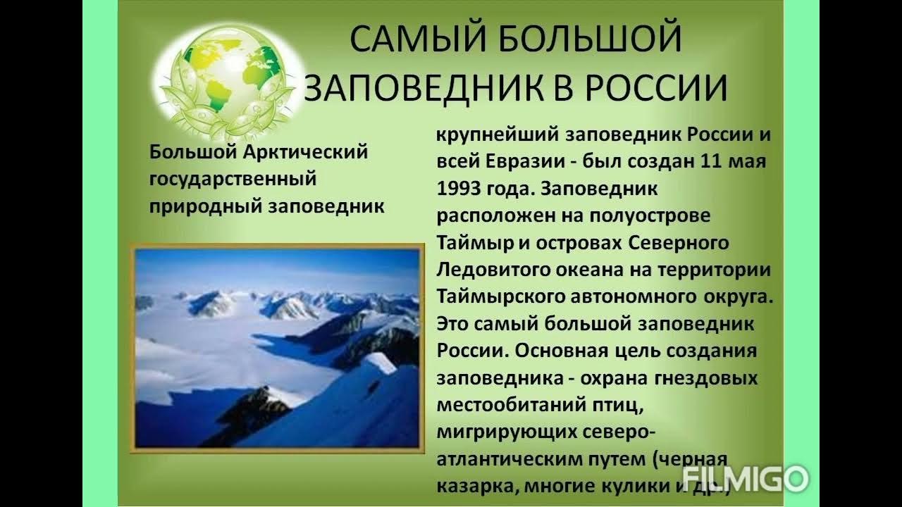 Интересные проекты про заповедники