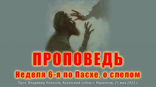 ПРОПОВЕДЬ. Неделя 6-я по Пасхе, о слепом, прот. Владимир Колосов, 2023.