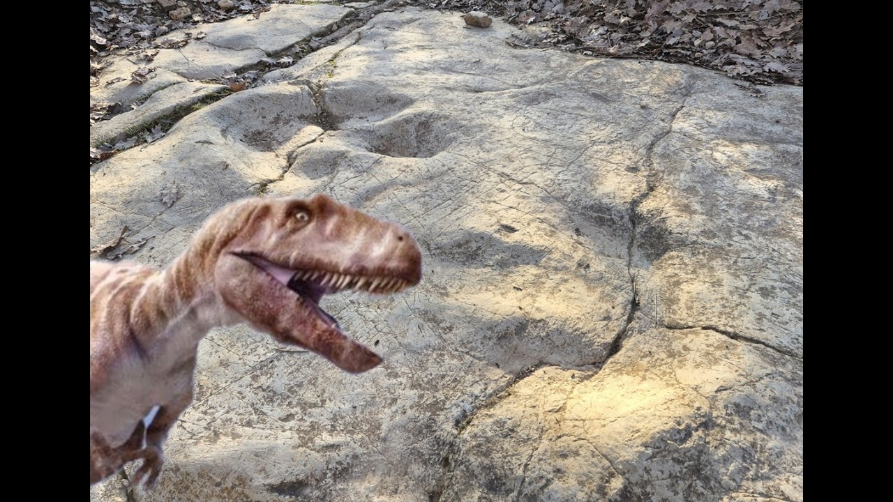 Empreintes dinosaures Jurassique Peyre Aveyron France