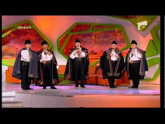 Florin Vasilica si Grupul Teleormanul - Cantece de nunta la DimiNeatza - Antena 1 - 23 august 2012