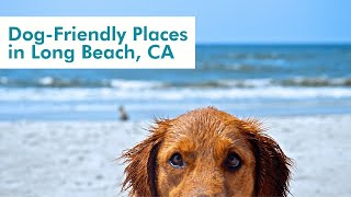 Dog-Friendly Places in Long Beach, CA
