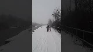 Snow In 2017