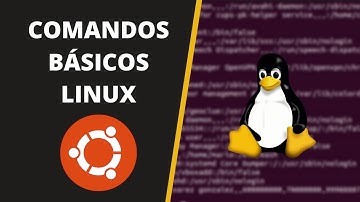 📌 Curso de LINUX | COMANDOS Básicos para Navegar desde el TERMINAL de Linux 💻