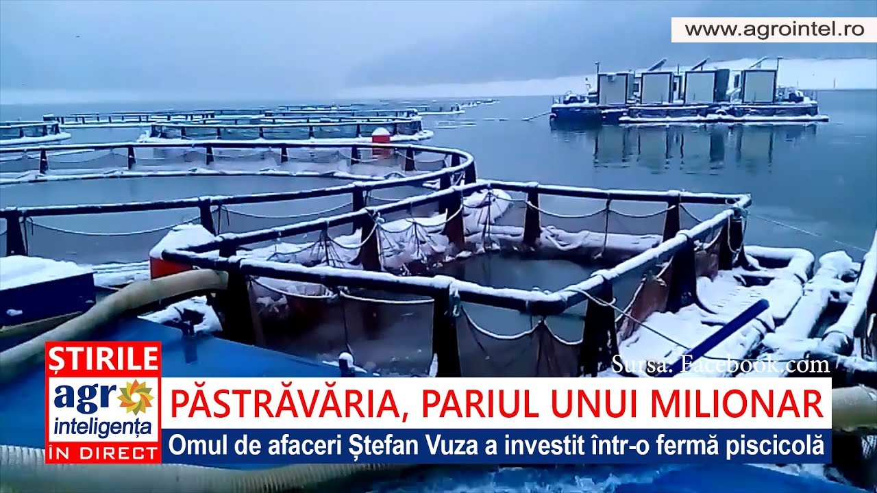 Păstrăvăria, pariul milionarului Ștefan Vuza în agricultură