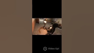 First Ever Double Execution in COD MW2￼