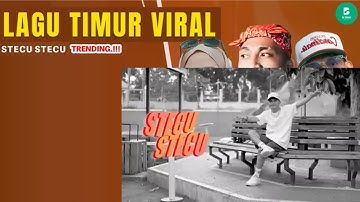 STECU STECU - FARIS ADAM | LAGU TIMUR VIRAL 2025 | LAGU TIMUR TERBARU | VIRAL TIKTOK