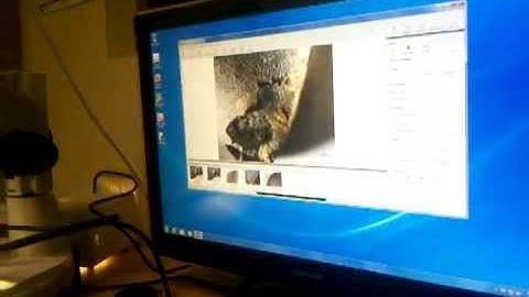 The Age of the Chondrules