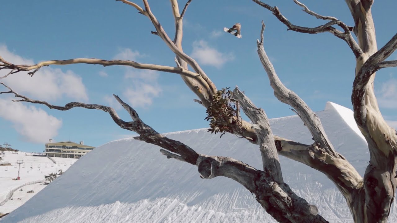 BANGERZ DOWN UNDER - Shred Bots