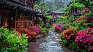 Tranquil Rainy Day Stream Sounds  Relaxing Rain Ambiance for Sleep