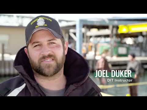 A Scuba Diver's Unconventional Career Choice