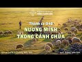 Karaoke thnh ca 048 nng mnh trong cnh cha