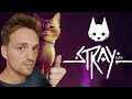 I'm playing STRAY the epic cat game