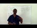 Learning ekg part 1 introduction to ekgs