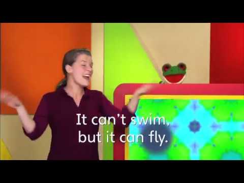 Explore Our World 2 - Unit 8 - Song - YouTube