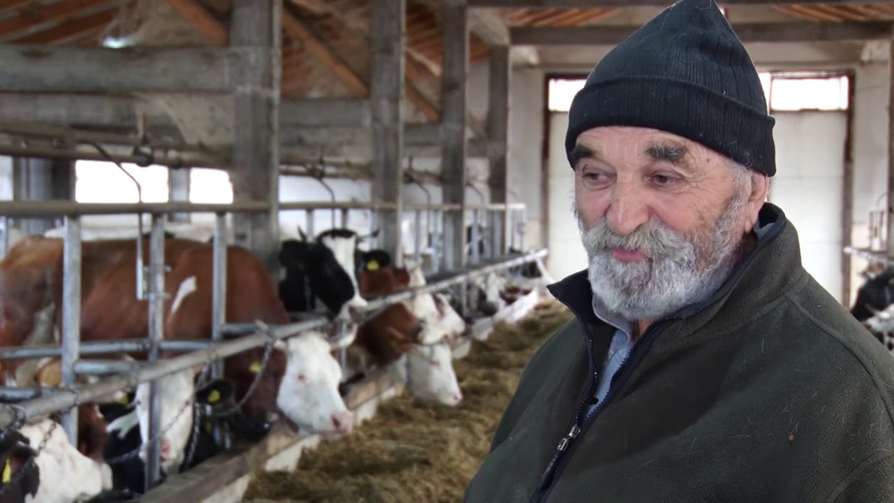 Nova MLADOST jednog STAROG STOČARA