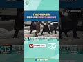 旅行社詐騙事件
