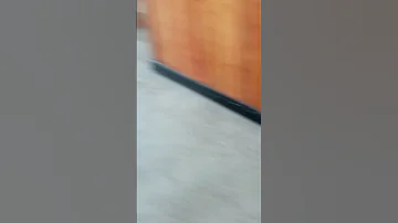 Lunch Out Shorts 